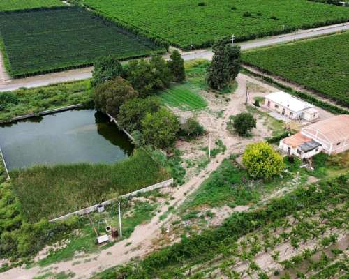 Finca de 25 Ha Chapanay, San Martin Mendoza