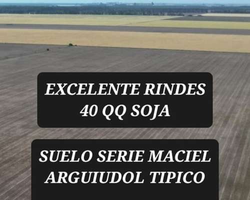 Barrancas Santa FE Agrícolas