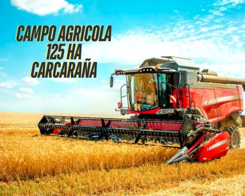 Campo Agricola en Venta de 125 Ha en Carcarañá