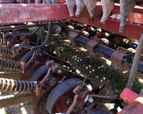 Oferta Tanzi de Grano Fino