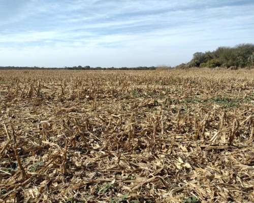 Venta de Hectareas en Salta