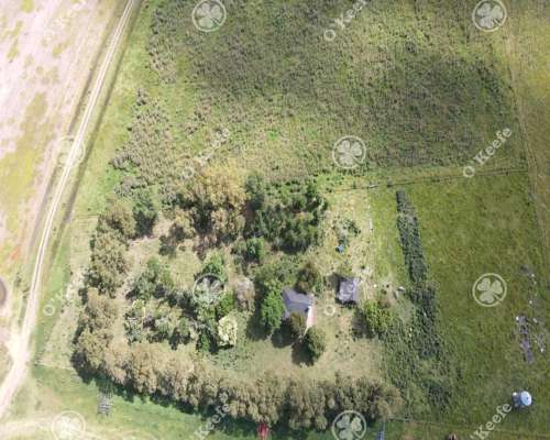 Campo en Venta de 300 Has en Pila