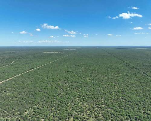 Pcia. de San Luis - Arizona 2307 Has