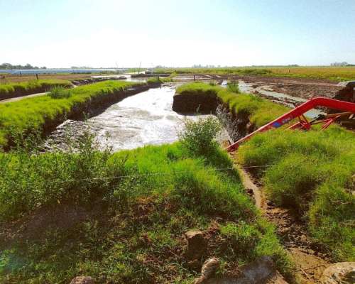 Bomba de Alto Caudal para Riego-inundaciones-desagote y MÁS