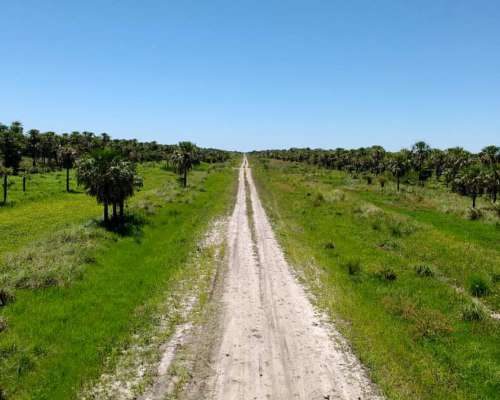 3200 Hectáreas en Departamento Pilcomayo Formosa
