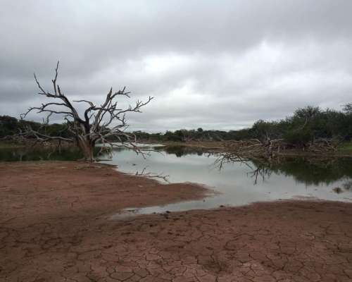 Dueño Vende 7.000has Ganaderas a 100km de las Lajitas, Salta
