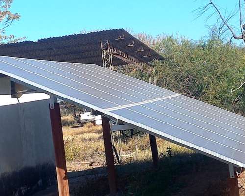 Campo con Fabrica de Aceite de Oliva en Catamarca
