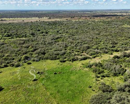 Ambrosetti, Santa FE. Venta 72 HA. Campo Mixto.