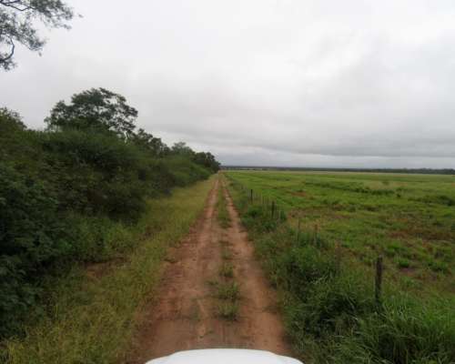 La Estrella - 2755 Ha - Salta