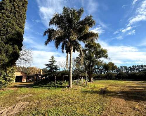 Campo de 10 Hectáreas