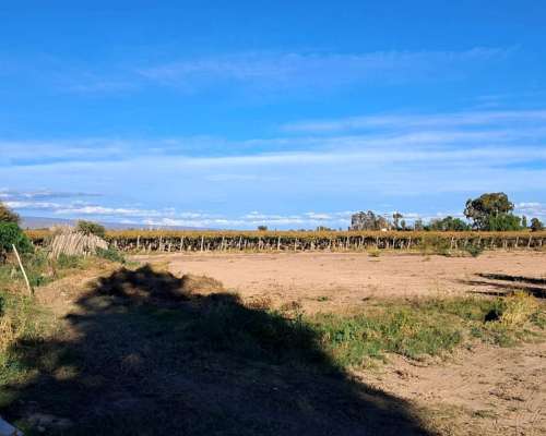 Vendo o Alquilo Finca en Santa Lucía, San Juan
