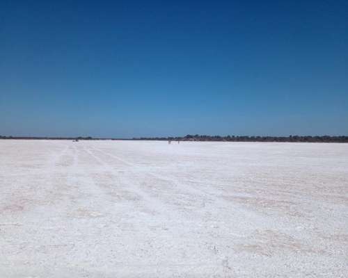 Campo en Argentina de Salinasblancas para Explotación de SAL
