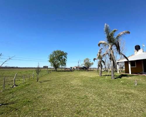 Campo Mixto de 50 Hectáreas