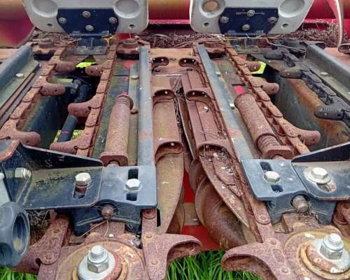 Maicero Maizco de 13 a 52 cm