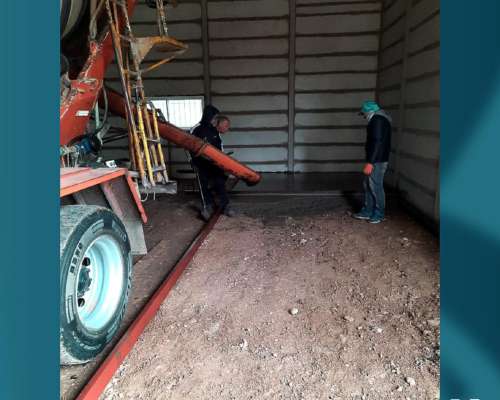 Camión con Mixer Ford 2631 (id635)