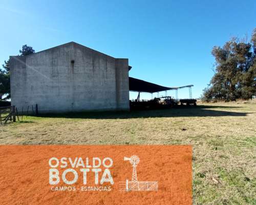 Campo Agricola en Venta, Mechongue, Buenos Aires