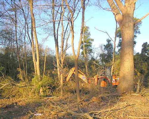 Desmonte y Limpieza Pesada en Campos