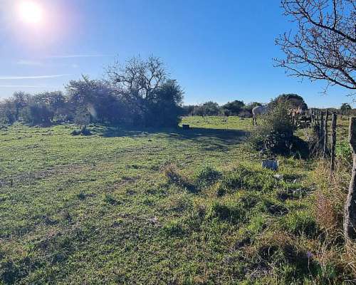Vendo Campo Ganadero en San Jose de Feliciano