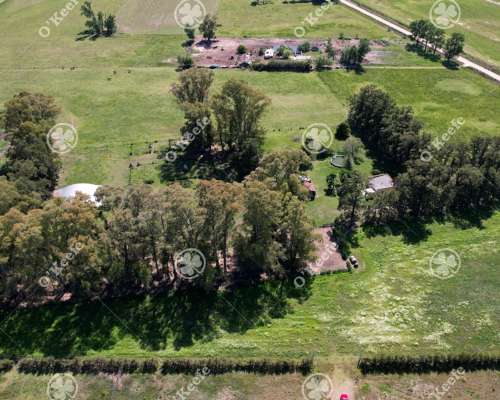 Chacra en Venta de 10 Has en Bragado con Mejoras