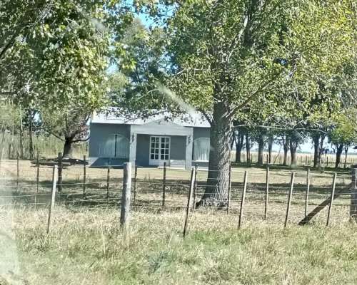 Venta Campo Ganadero Rauch 617 Ha con 150 Ha Agrícolas