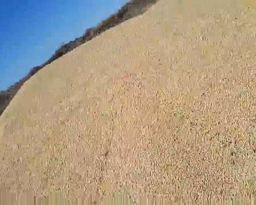 Vendo Clasificadora de Semilla Automátizada .