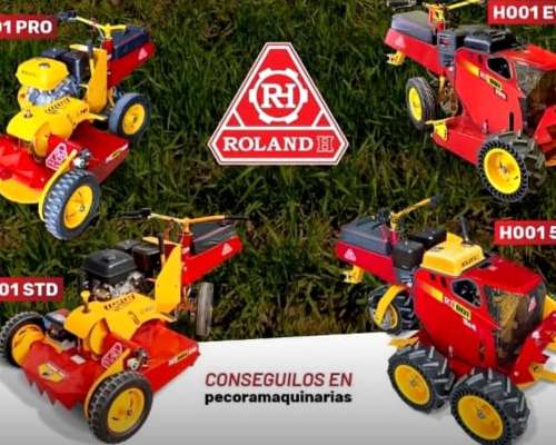 Concesionario Rolandh Líneas Desmalezadoras