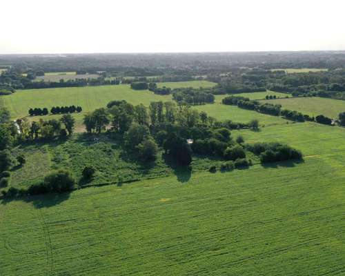 135 Has. Campo en Open Door, Luján