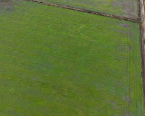 51 HA. Agrícola. el Trebol (santa FE)