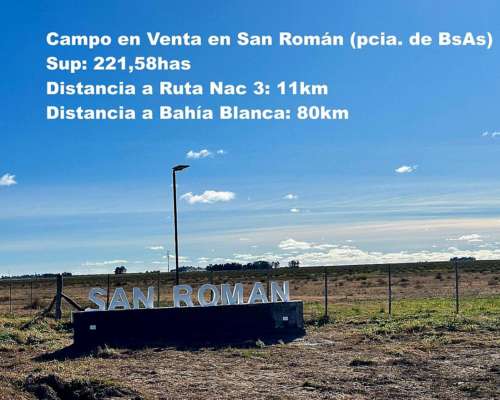 Vendo Campo en San Roman