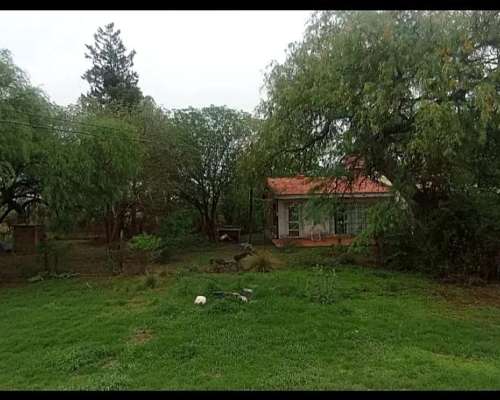 Campo Nogales Merlo San Luis