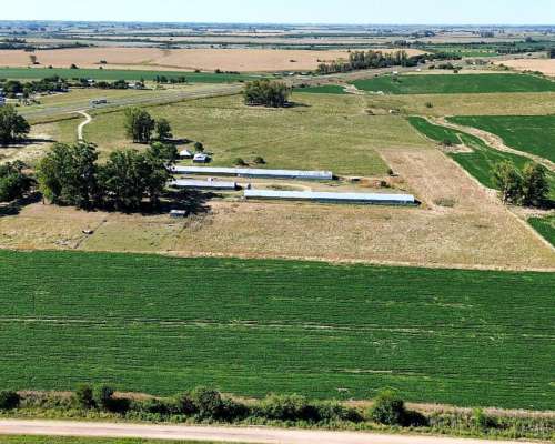 Vendo Campo 24 Has en Ruta 14 Concepción del Uruguay Entre R