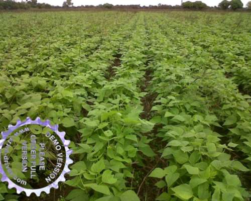 1.071 Ha el Galpon, Salta. Oferta y Financiacion