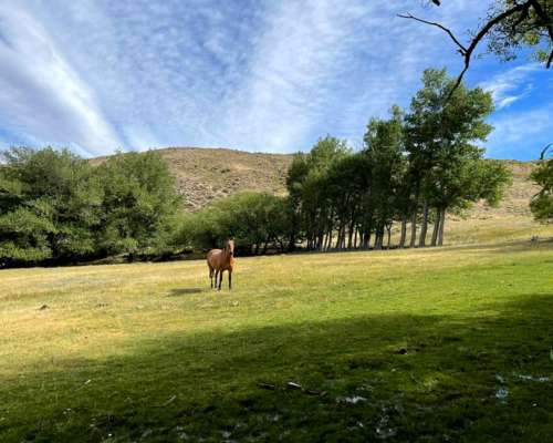 Estancia 26.000 Ha Santa Cruz Zona Perito Moreno