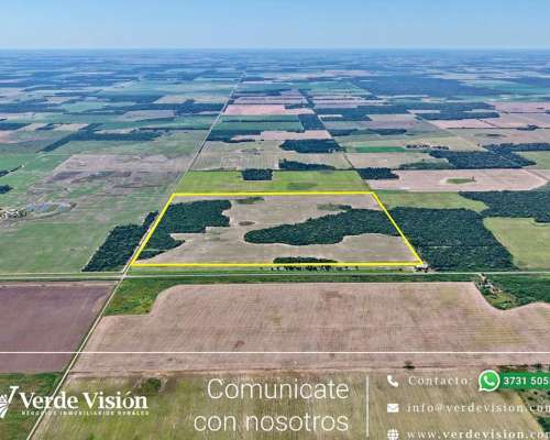 89 Has en Venta - Pcia del Chaco, las Breñas