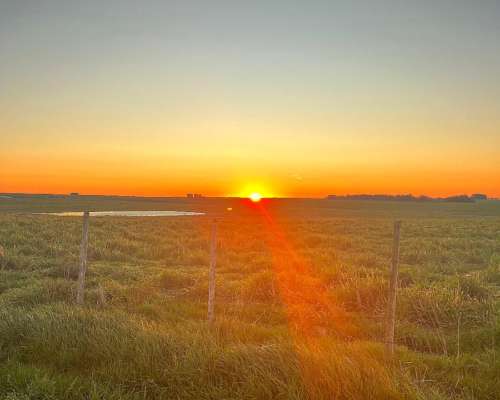Campo en Venta Uruguay, Flores
