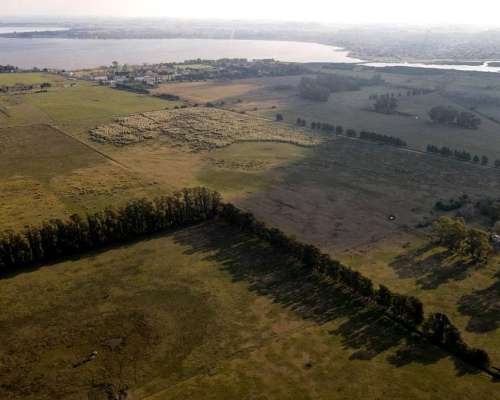 Venta Campo Sobre Ruta 41 San Miguel del Monte