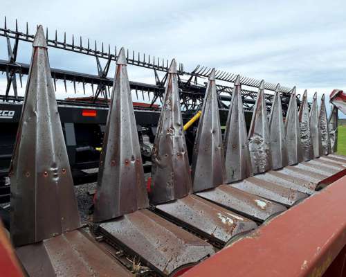 Maicero - Maizco de 12 a 52,5 cm - año 2012 (emb Vassalli)