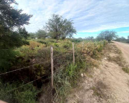 Vendo 56 Hectáreas. Colonia Dora