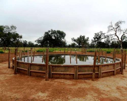 La Estrella - 2755 Ha - Salta