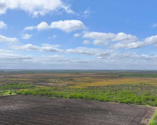 Pcia. de Entre Rios - Maria Grande 526 Has