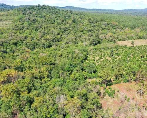 Se Vende 29 HA. con 4 Ha de Yerba Mate. Gobernador Roca Misi