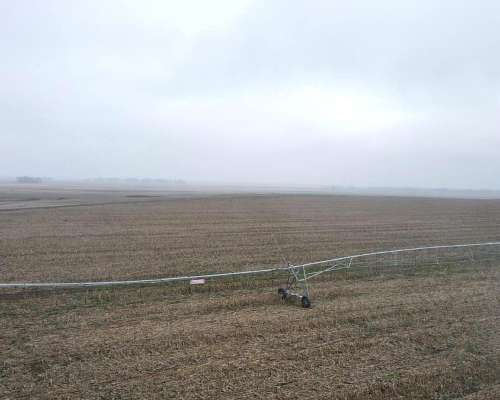 Dorbigny, Coronel Suarez, Buenos Aires - 390 Ha