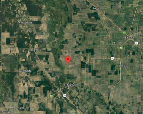 664 HA. Agricolas. Pinto