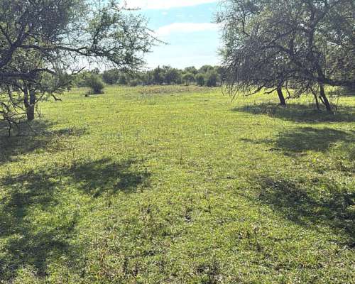 220 Ha Mixtas. Mayormente Agrícola. Lucas Gonzalez
