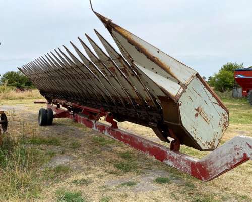 Girasolero Maizco de 19 a 52cm