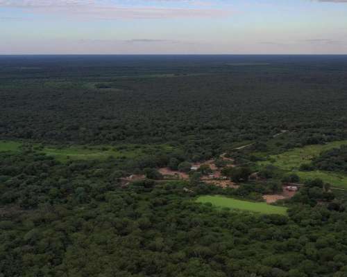 Chaco Castelli 750 Has Ganaderas Dolar Oficial