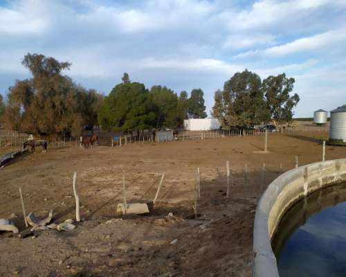 Campo Gandero 30.000 Hectareas,algarrobo del Aguila la Pampa