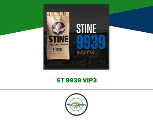 Semilla de Maiz Stine 9939 VIP3