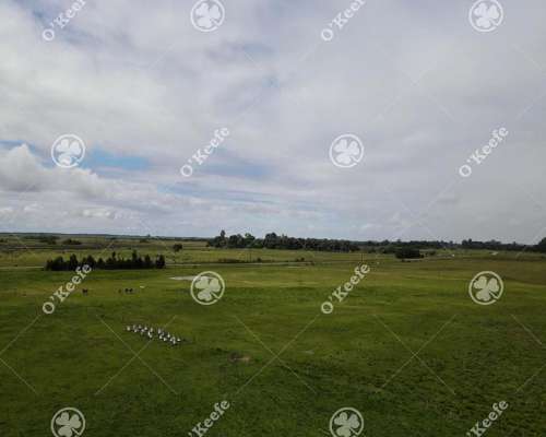 Campo en Venta de 450 Has en Magdalena. Mixto