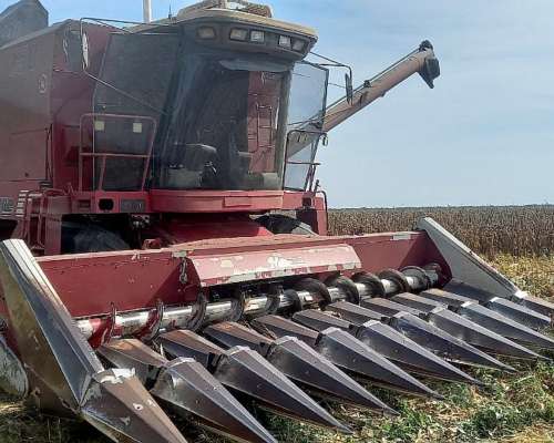 Maicero Maizco Mxiii 10 a 52cm